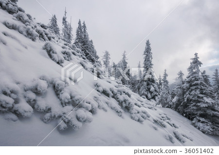 Fantastic winter landscape Fantastic winter landscape 36051402