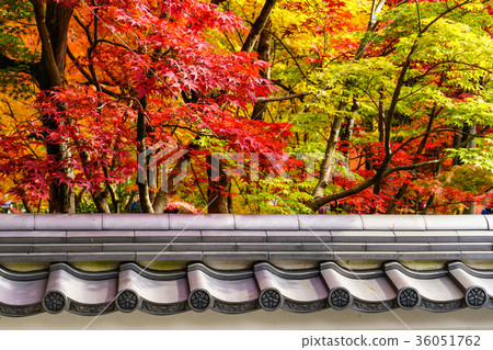 Autumn color behind the wall Autumn color behind the wall 36051762