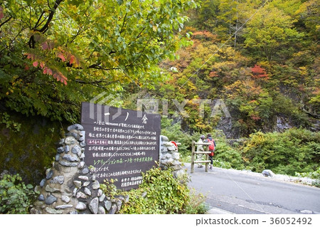 一個Kurasawa 36052492