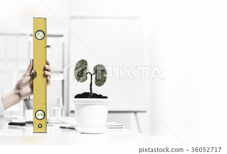 Growth and income Growth and income 36052717
