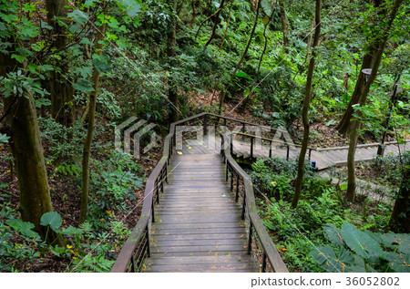 Kisendo, small ridge, park, road 36052802