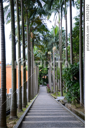 大林林，路，公園，小船 36052892