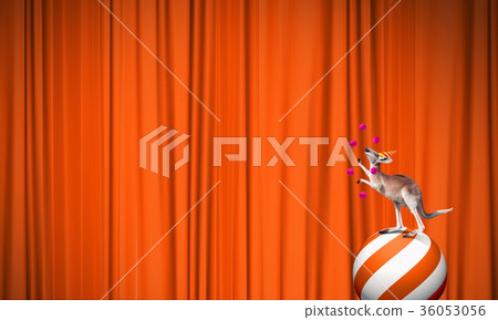 Circus animals Circus animals 36053056