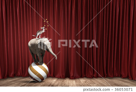 Circus animals Circus animals 36053071