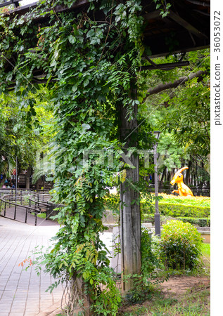 武士老虎,桑葉,公園,自然 武士老虎,桑葉,公園,自然 36053072