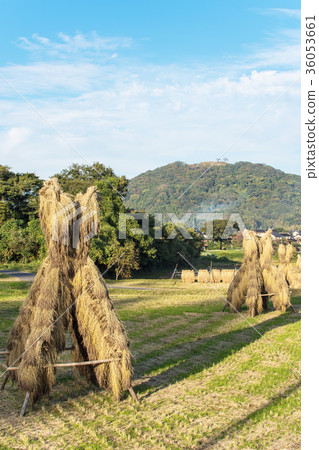 Rural image 36053661