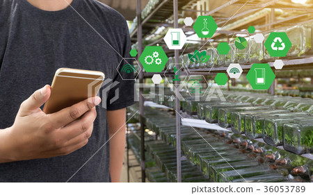 agriculture technology concept man Agronomist agriculture technology concept man Agronomist 36053789