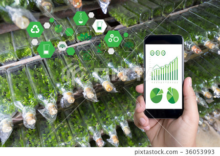 agriculture technology concept man Agronomist  36053993