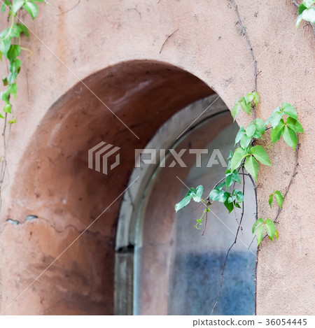 window window 36054445