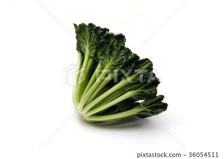 Tahaisai Tahaisai 36054511