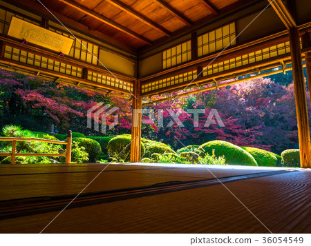 Autumn leaves of Shisen-do 36054549