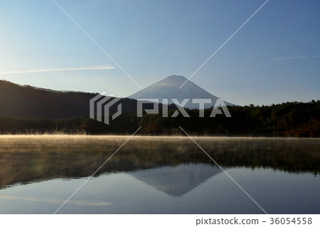 Mt. Fuji from Saiko Lake in early autumn morning Mt. Fuji from Saiko Lake in early autumn morning 36054558