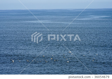 從冰見漁港到卡拉島,富山灣和立山山脈 從冰見漁港到卡拉島,富山灣和立山山脈 36054679