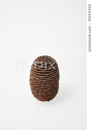 松果(單品) 松果(單品) 36055420