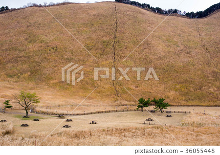 Ocean pond Ocean pond 36055448