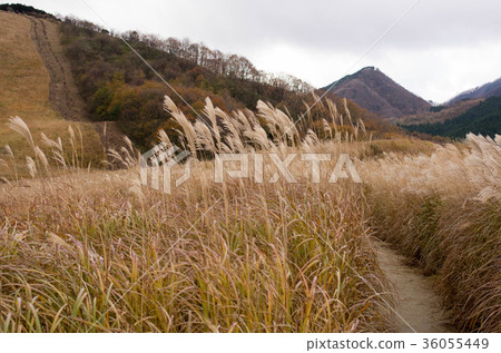 Cloudy plateau 36055449