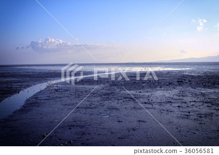 Flats of the Ariake Sea 36056581