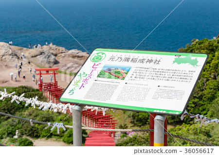 Motonosumi Inari Shrine-123 torii's torii, which runs over 100 meters 36056617