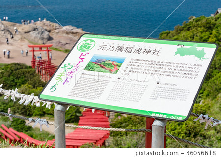 Motonosumi Inari Shrine-123 torii's torii, which runs over 100 meters 36056618