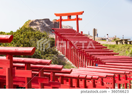 Motonosumi Inari Shrine-123 torii's torii, which runs over 100 meters 36056623