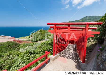 Motonosumi Inari Shrine-123 torii's torii, which runs over 100 meters 36056637