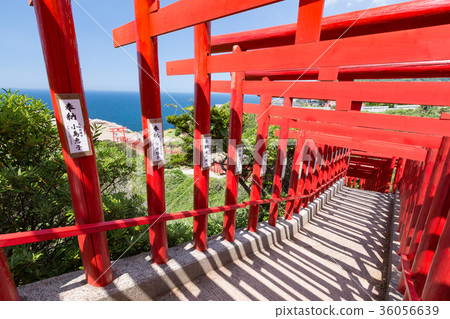 Motonosumi Inari Shrine-123 torii's torii, which runs over 100 meters Motonosumi Inari Shrine-123 torii's torii, which runs over 100 meters 36056639