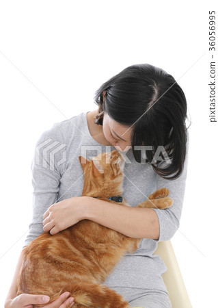 Cats and ladies 36056995