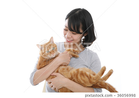 貓和女士們 36056998