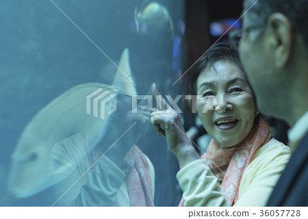 Old couple and the sea 36057728