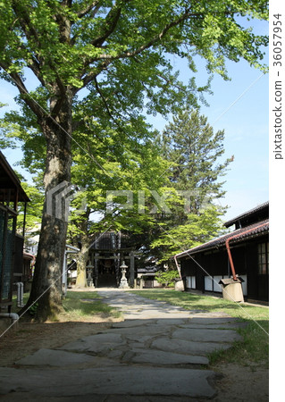 進入Sanii Inari神社 36057954