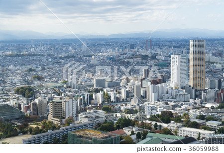 東京風景Meguro-ku世田谷區 36059988