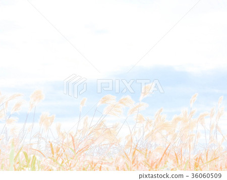 Susuki November Susuki November 36060509