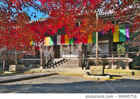 Kowaki Komyoji Temple Kowaki Komyoji Temple 36060758