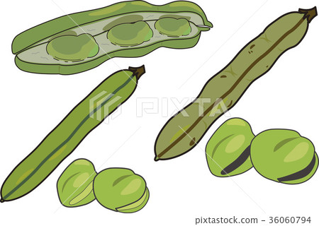 Broadcasting 36060794