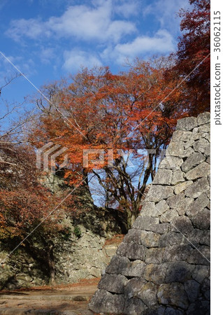 津山旅遊景點“鶴山公園”的秋葉 津山旅遊景點“鶴山公園”的秋葉 36062115