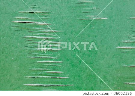 Old veneer, green paint over cracked plywood 36062156