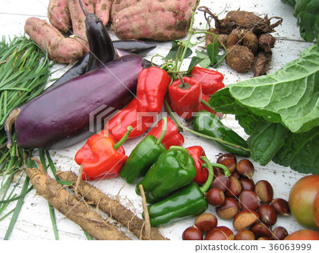 收穫的秋菜 收穫的秋菜 36063999