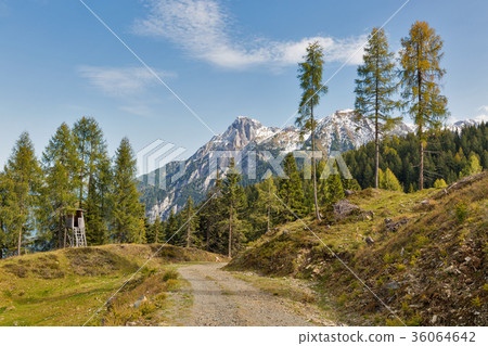 Alpine mountains landscape in Carinthia, Austria. 36064642