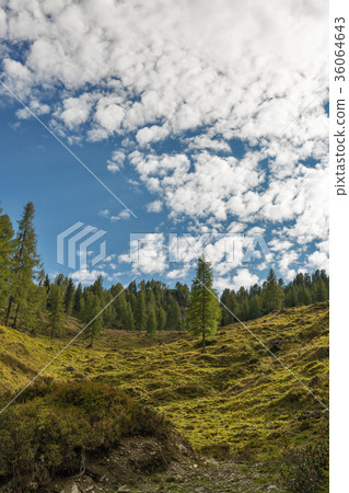 Alpine landscape in Western Carinthia, Austria. Alpine landscape in Western Carinthia, Austria. 36064643
