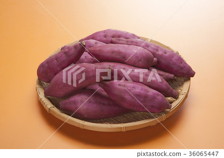 Sweet potato 36065447
