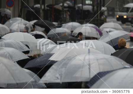 下雨天 下雨天 36065776