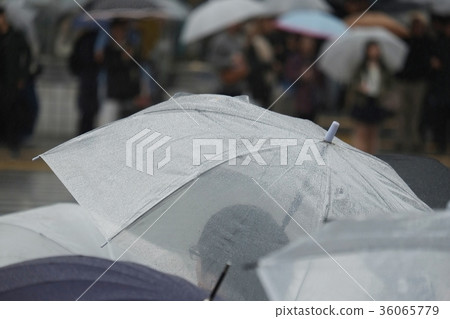 下雨天 下雨天 36065779