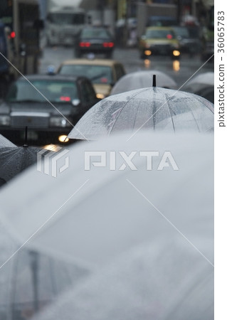 Wet day Wet day 36065783