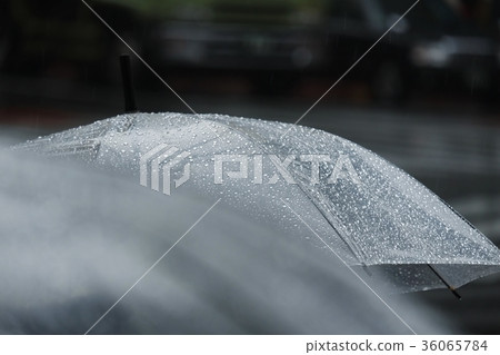 Wet day  36065784
