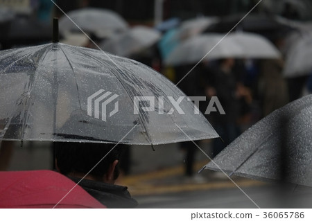 下雨天 下雨天 36065786