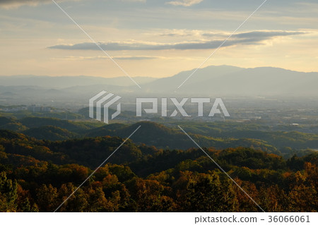 Evening view of Nara basin (Nara City Hakushoji-cho) 36066061