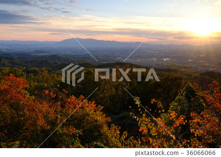 Evening view of Nara basin (Nara City Hakushoji-cho) 36066066