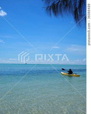 Sea and canoe 36066489