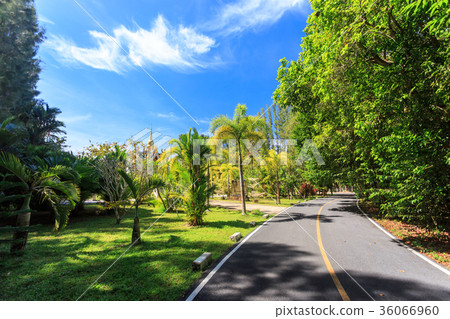 Road to Wat Mai Khao temple. Phuket Thailand Road to Wat Mai Khao temple. Phuket Thailand 36066960