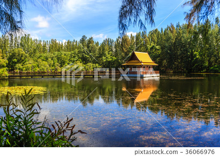 Lake in Wat Mai Khao temple. Phuket Thailand Lake in Wat Mai Khao temple. Phuket Thailand 36066976